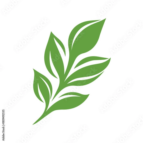Fototapeta Green Leaf icon shape fresh flat vector design.