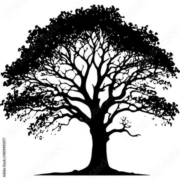 Fototapeta Download black tree silhouette vector image for graphic design projects