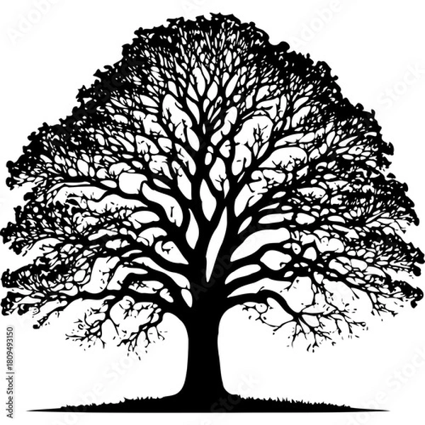 Fototapeta Silhouette tree vector graphic design illustration nature landscape art