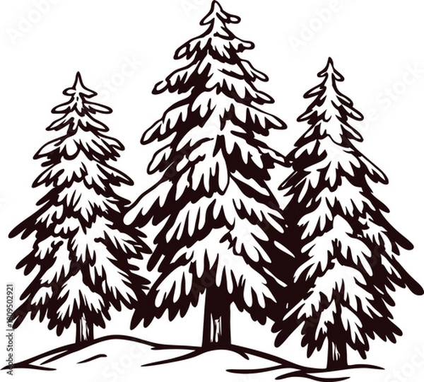 Obraz Hand drawn coniferous fir trees covered with snow, vintage winter forest illustration in engraving