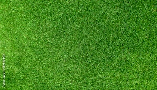 Fototapeta Green Grass Background Texture
