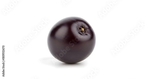 Obraz Single Dark Berry Isolated on White Background.