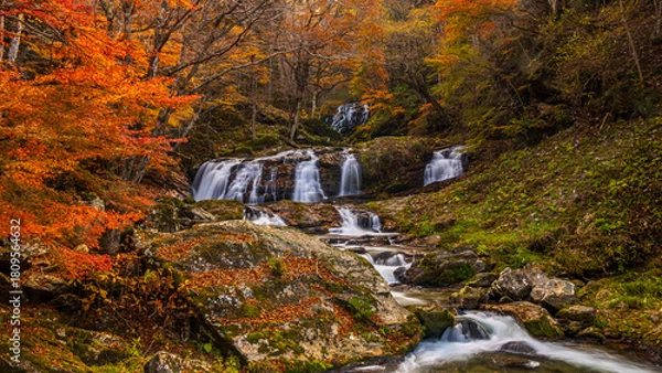 Fototapeta 秋　紅葉と滝　江竜田の滝　福島　絶景