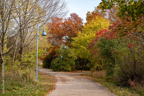 Fototapeta Autumn View of Colonel Samuel Smith Park in Toronto.