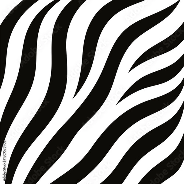 Fototapeta Zebra print background  