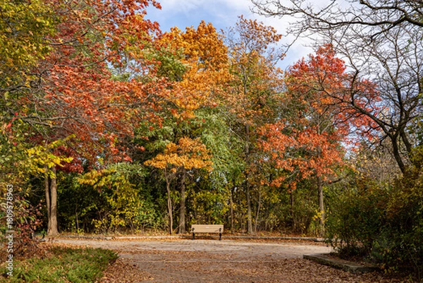 Fototapeta Autumn View of Colonel Samuel Smith Park in Toronto.