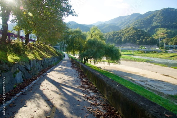 Obraz Shadows on Jojong Stream Path