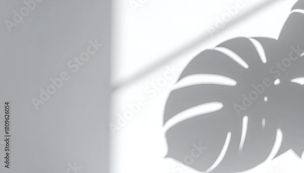 Fototapeta A soft, close-up shot of monstera leaf shadows cast on a bright white wall