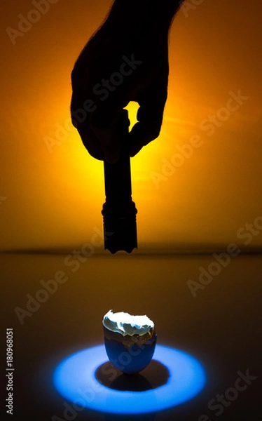 Fototapeta Egg Shell