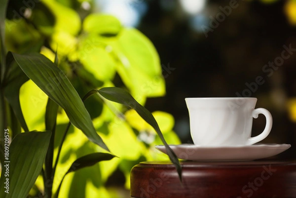 Fototapeta White cup of coffee or tea on a wooden table over blurred tree with sun lighting.
