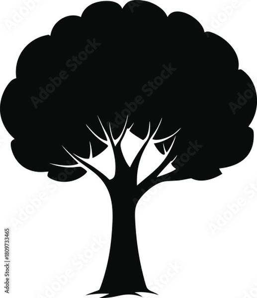 Fototapeta vector tree silhouette