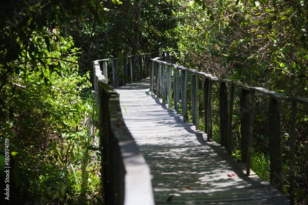 Fototapeta Cahuita - Costa Rica
