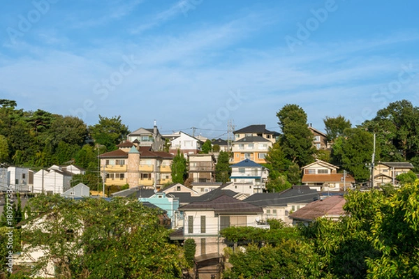 Obraz 東京世田谷　青空と郊外の住宅地１
