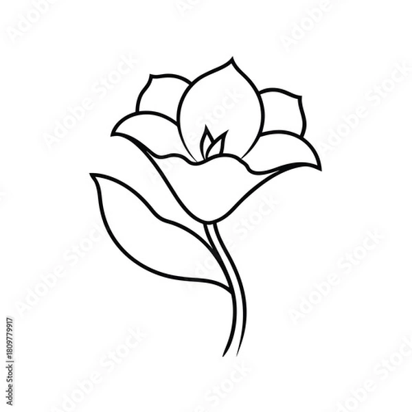 Obraz Simple outline drawing of a beautiful flower with leaves isolated on white background