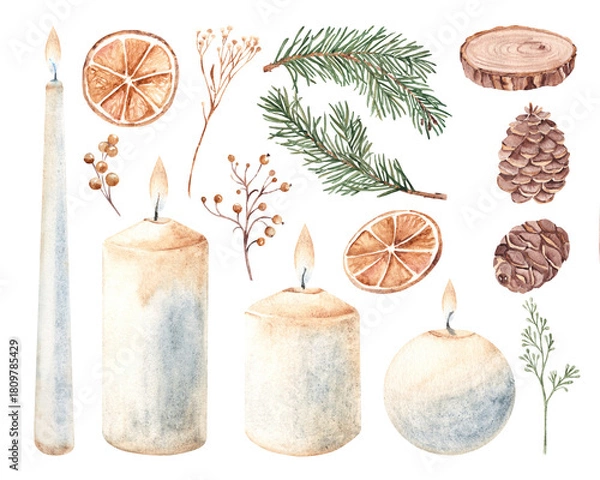 Obraz Christmas, Advent set. Candles, Winter Plants Branches and Berries, pine, fir cones and dried oranges. Watercolor hand drawn illustrations isolated on white background. Clip art for cards, posters or
