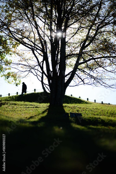 Obraz 人は歩いていく