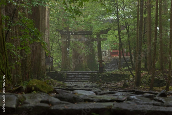 Obraz 神社の参道