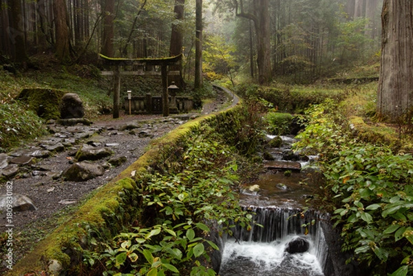 Obraz 神社と小川