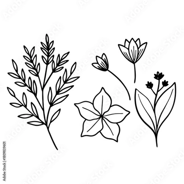 Obraz Flower Icon Sheet 