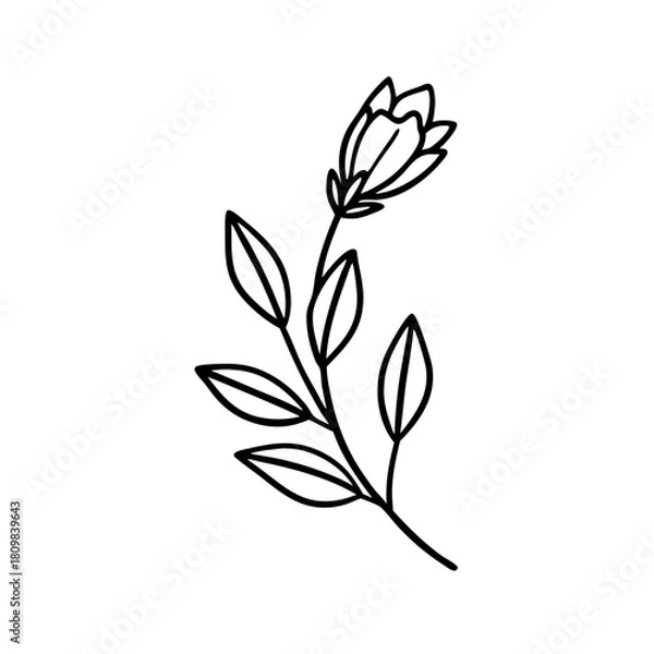 Obraz Flower Icon Sheet 