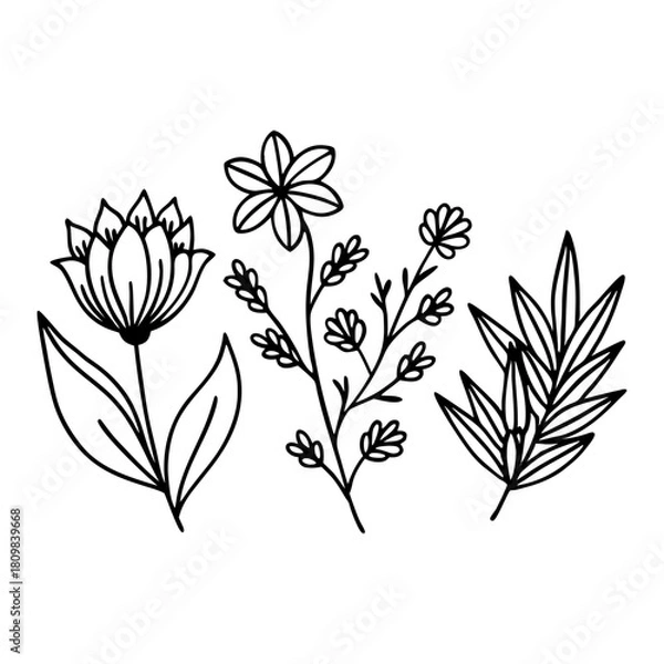 Obraz Flower Icon Sheet 