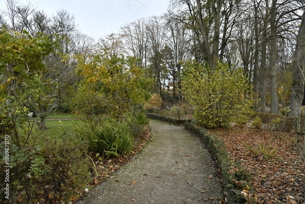 Fototapeta Chemin au parc de la Dodaine en automne à Nivelles (Brabant Wallon)