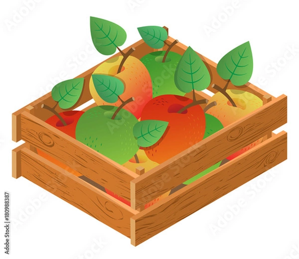 Obraz Wooden crate with apples. 3D isometric view. Vector illustration.