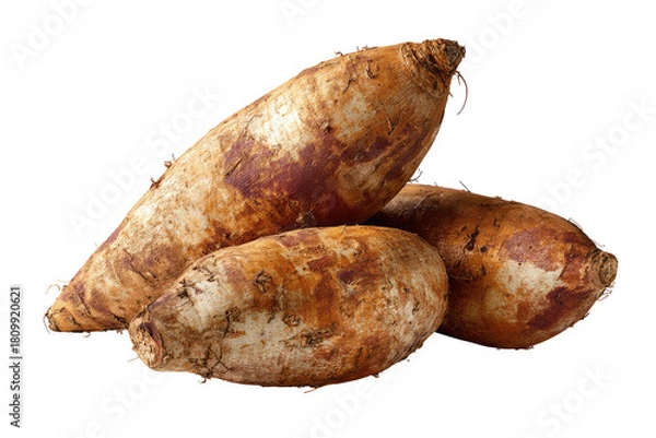 Obraz Three root vegetables, light beige with brown markings, stacked