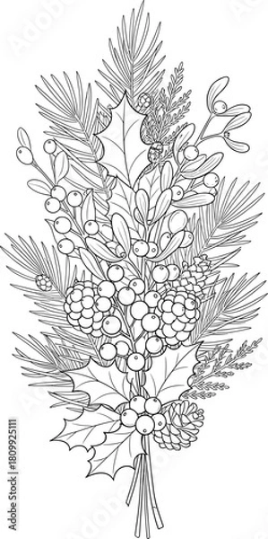 Fototapeta Detailed Christmas and Winter Foliage Line Art Vector, Holiday Berries, Pine Boughs, and Decor Sketch