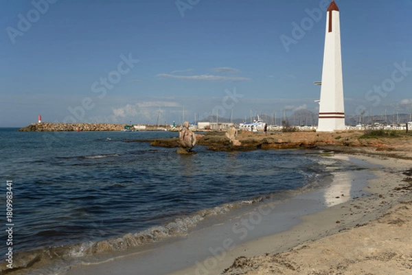 Obraz beach and marina in Can Picafort (Mallorca, Spain)