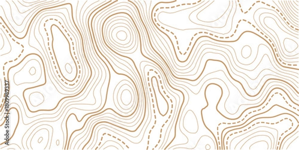 Obraz Topographic gold luxury map background. Geographic abstract pattern. The topo contour or wallpaper. The concept of a conditional geography scheme and contour line map image.