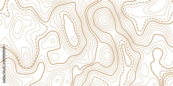 Obraz Abstract topo contour map on white background, Topo with elevation. The concept of a conditional geography scheme and contour line map image.Vintage outdoors style wallpaper. 