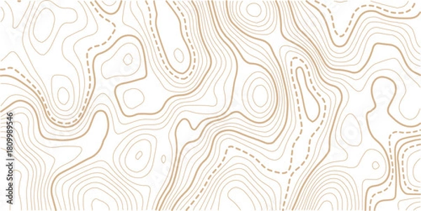 Obraz Topographic gold luxury map background. Geographic abstract pattern. The topo contour or wallpaper. The concept of a conditional geography scheme and contour line map image.