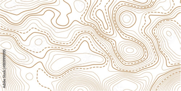 Obraz Abstract topo contour map on white background, Topographic map Topographic contour lines map seamless pattern.Vintage outdoors style wallpaper. 