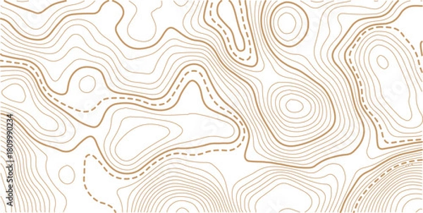 Obraz Topographic gold luxury map background. Geographic abstract pattern. The topo contour or wallpaper. The concept of a conditional geography scheme and contour line map image.