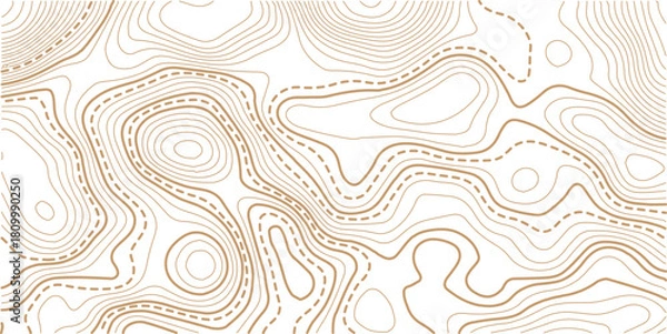 Obraz Abstract topo contour map on white background, Topo with elevation. The concept of a conditional geography scheme and contour line map image.Vintage outdoors style wallpaper. 