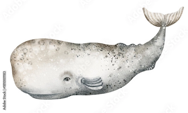 Obraz Watercolor illustration of a sperm whale. Marine animal in side view for prints, stickers and science themes. Hand-drawn ocean clipart.