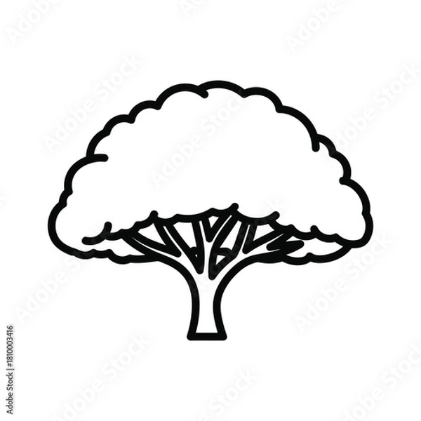 Obraz Simple outline drawing of a large tree with full canopy