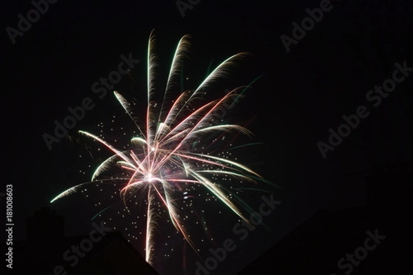 Obraz Fireworks11