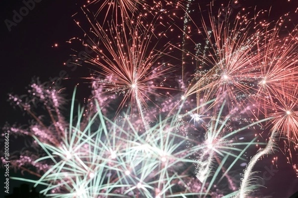 Obraz Fireworks8