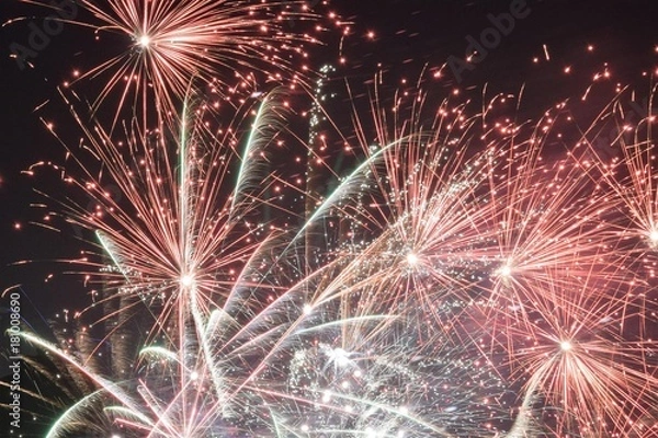 Obraz Fireworks5