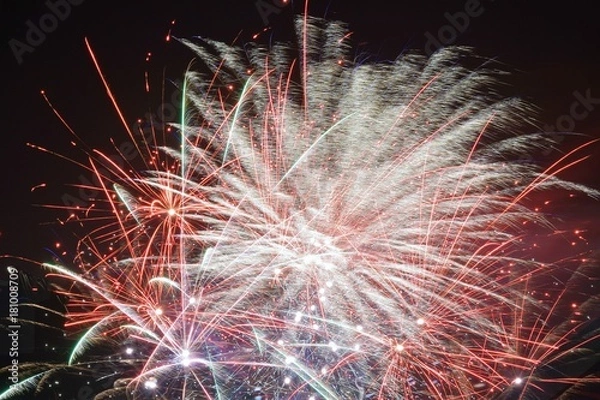 Obraz Fireworks3