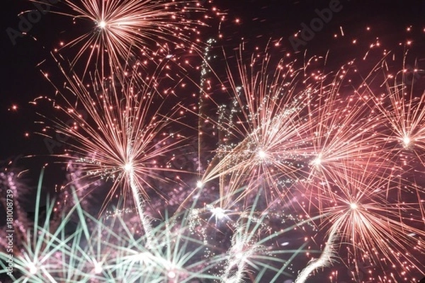 Obraz Fireworks