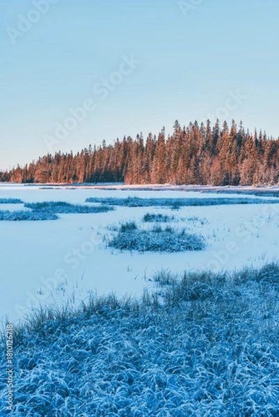 Fototapeta Store Vindflotjernet Lake of the Vindflomyrene Nature Reserve at the Totenåsen Hills, Norway, November 2025.