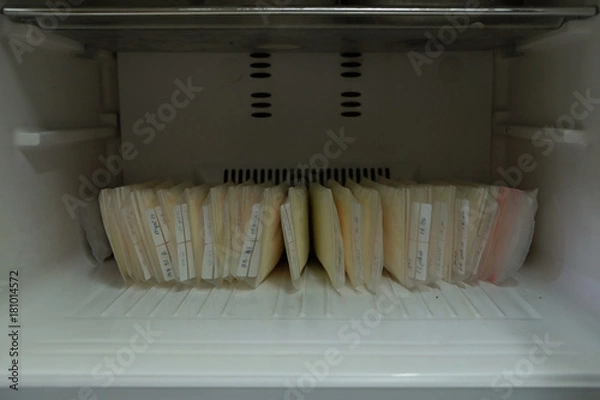 Fototapeta Breast milk in storage bags frozen in the refrigerator with the date and time on the label