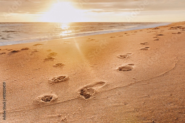 Obraz walk on the beach