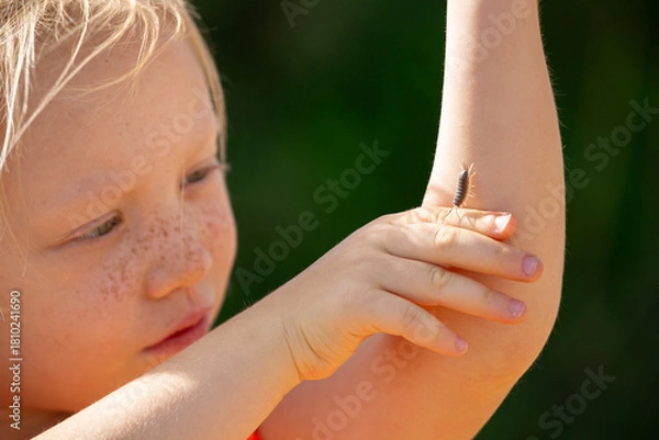 Fototapeta A girl with freckles holds a bug in her arms and plays with it without fear