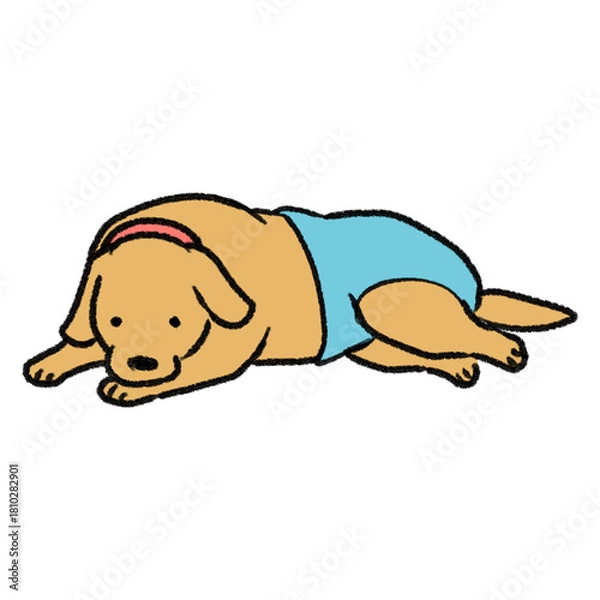 Obraz おむつを履いている犬のイラスト