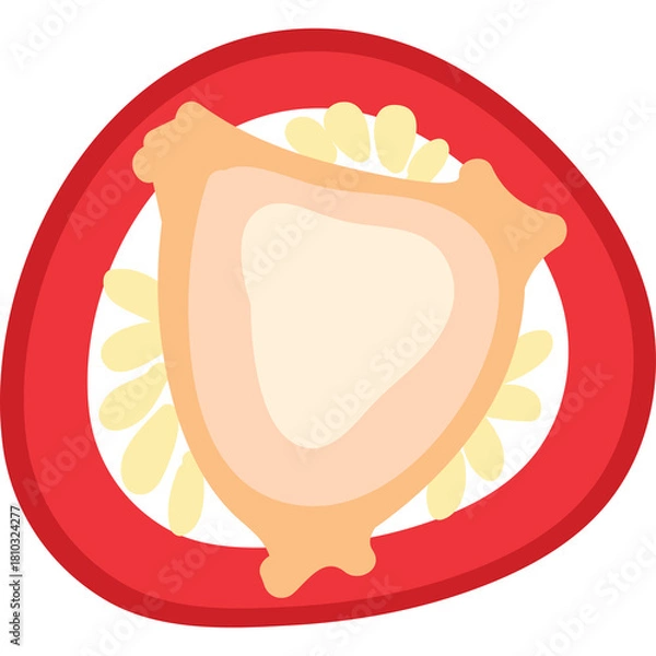 Fototapeta Red Chili Pepper Slice Vividly Illustrated With Visible Seeds and White Background Simple Food Icon Representing Spice Heat and Flavor