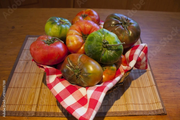 Obraz ecological tomates tomates ecológicos